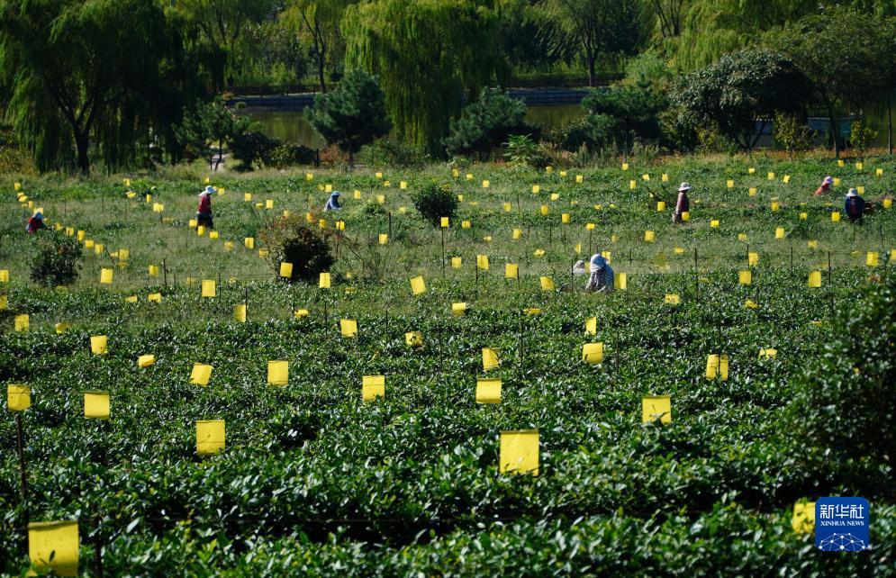 娱乐天地平台